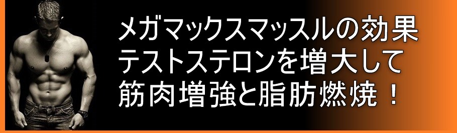 メガマックスマッスルの効果 テストステロンを増大して筋肉増強と脂肪燃焼