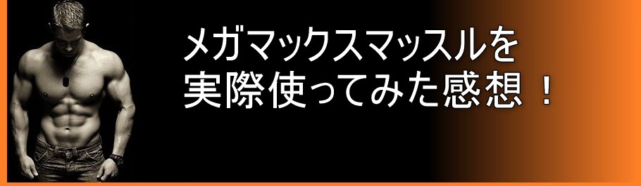 メガマックスマッスルを実際使ってみた感想