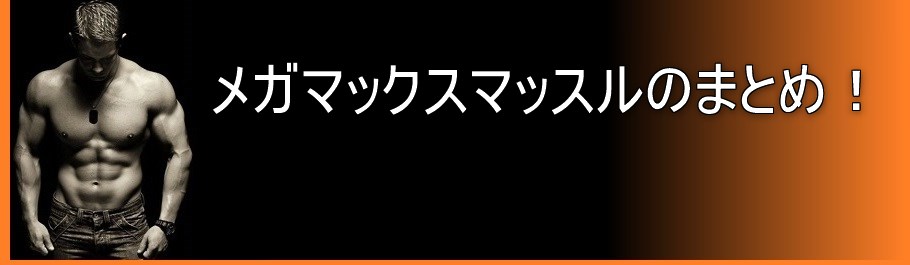 メガマックスマッスルのまとめ